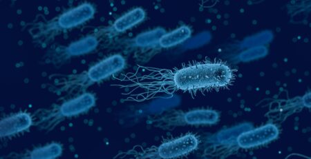 Bakterier, Legionella, i blått.