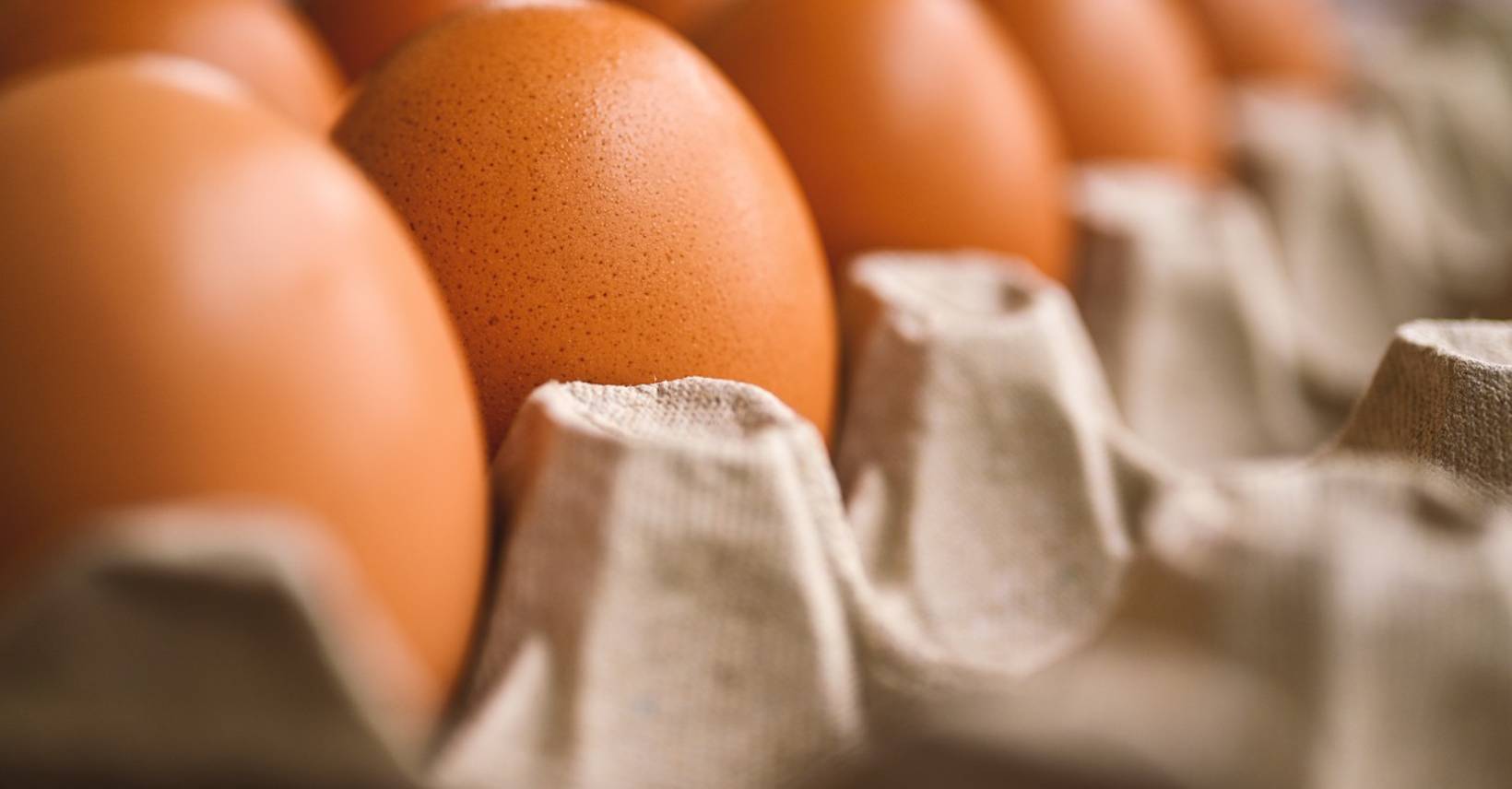 Bild av en del av äggkartong med bruna ägg.